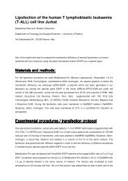 Evaluation Metafectene Pro[1] revSI - Biontex Laboratories