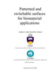 Patterned and switchable surfaces for biomaterial applications