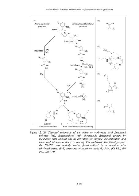 Patterned and switchable surfaces for biomaterial applications