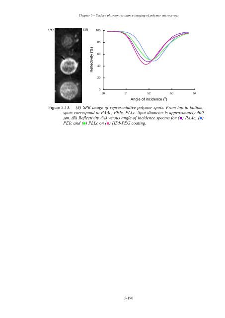 Patterned and switchable surfaces for biomaterial applications