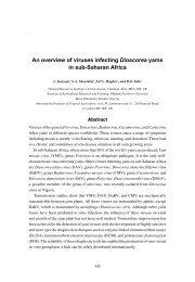 An overview of viruses infecting Dioscorea yams in ... - ResearchGate