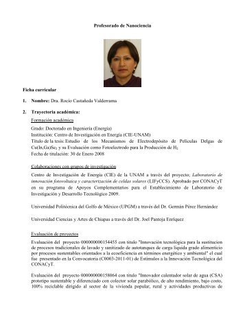 Profesorado de Nanociencia Ficha curricular 1. Nombre: Dra. RocÃ­o ...