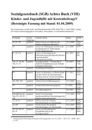 SGB VIII komplett - Verwaltung.modern