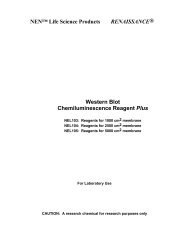 Western Blot Chemiluminescence Reagent Plus - Perkin Elmer Life ...