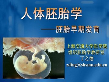 胚胎早期发育1