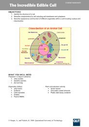 What S In A Cell Worksheet Coloring