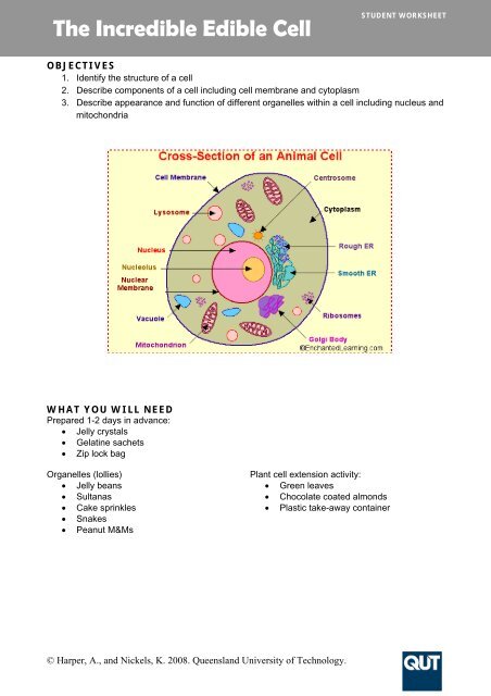 STUDENT WORKSHEET The Incredible Edible Cell - QUT