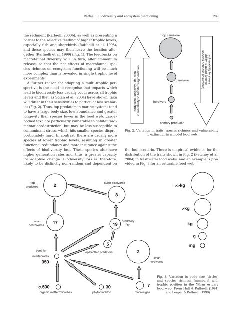 Biodiversity and ecosystem functioning: issues of scale and trophic ...