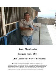 Juan Mora Medina.pdf - Canarias Racing Pigeon