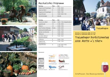 Trasadinger Herbstsonntag 2008: Motto «'s tönt» - Trasadingen