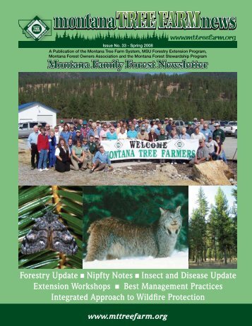 Montana Family Forest Newsletter - Montana Tree Farm System