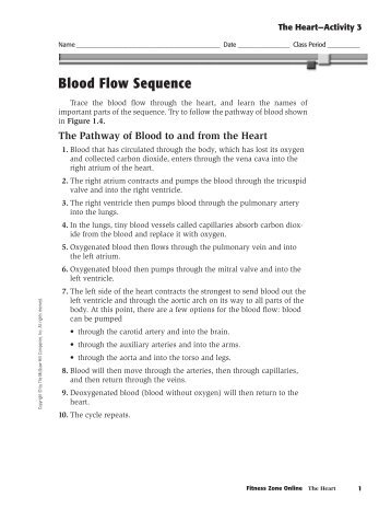 The Circulatory and Respiratory System - Glencoe