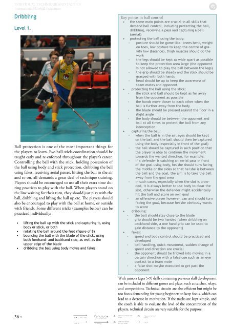 INDIVIDUAL TECHNIQUE AND TACTICS - Wellington Floorball