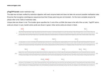 Restiction map (pdf) - Evrogen