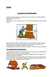 Ecologie Les dangers de la dÃ©forestation - Enseignons.be