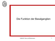 8. Vortrag - Funktion der Basalganglien - wilmnet.de