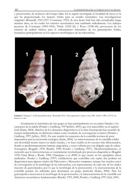 Descargue esta publicaciÃƒÂ³ en formato pdf haciendo ... - INSUGEO