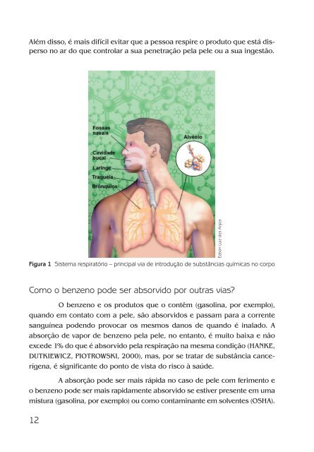 Efeitos do Benzeno a SaÃºde