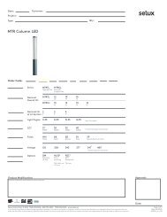 MTR Column LED [MTRCL] selux.us
