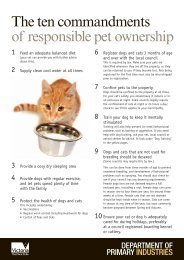 The ten commandments of responsible pet ownership