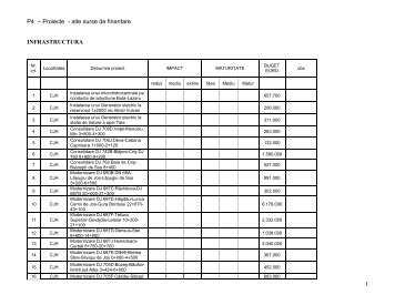 P4 - Portofoliu de proiecte - alte surse de finantare - Consiliul ...