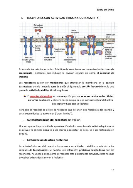 Tema 9. RECEPTORES DE MEMBRANA.pdf - VeoApuntes.com