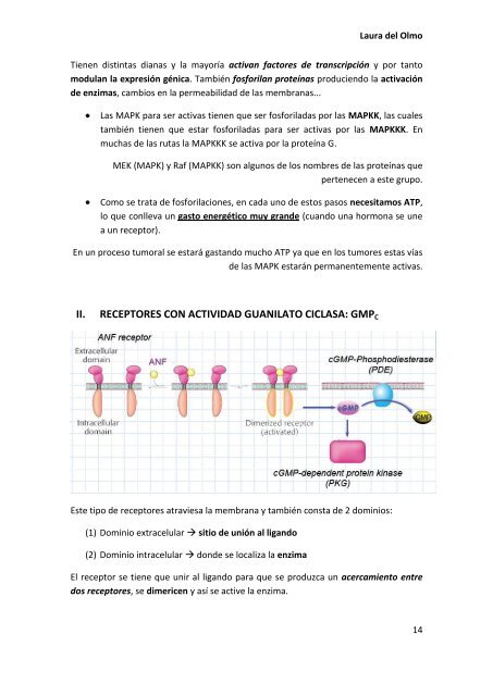 Tema 9. RECEPTORES DE MEMBRANA.pdf - VeoApuntes.com