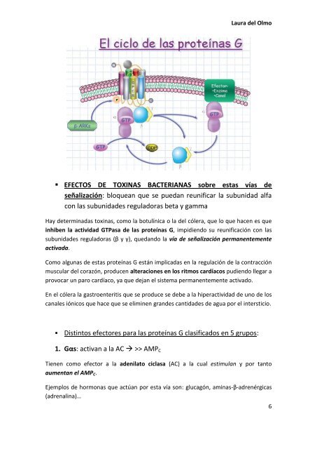 Tema 9. RECEPTORES DE MEMBRANA.pdf - VeoApuntes.com