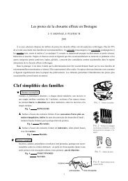 Clef simplifiÃ©e des familles - Groupe Mammalogique Breton