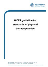 WCPT guideline for standards of physical therapy practice - World ...