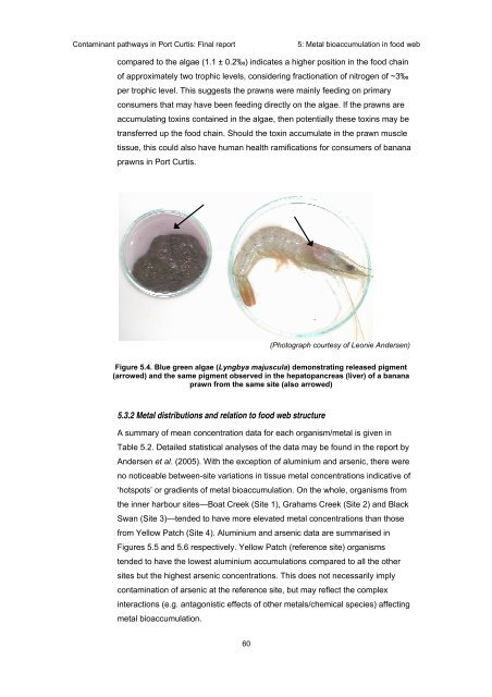 Contaminant pathways in Port Curtis: Final report - OzCoasts