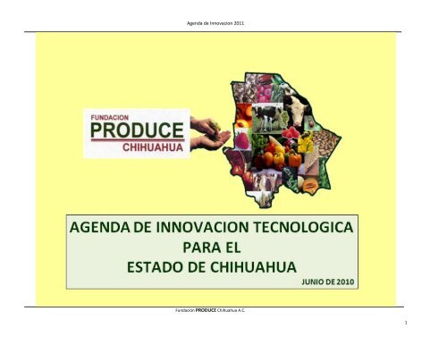 Agenda de Innovacion 2011 - Cofupro