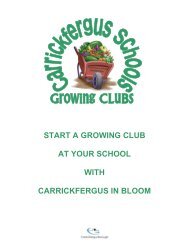 start a growing club at your school - Carrickfergus in Bloom