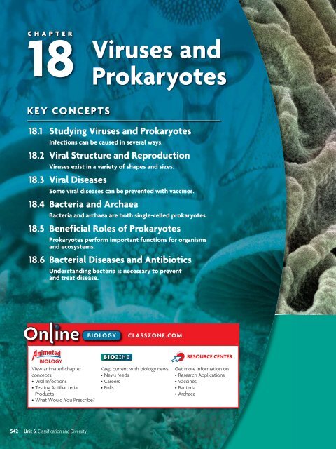 18.1 Studying Viruses and Prokaryotes