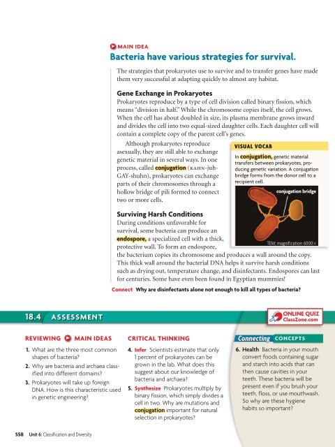 18.1 Studying Viruses and Prokaryotes