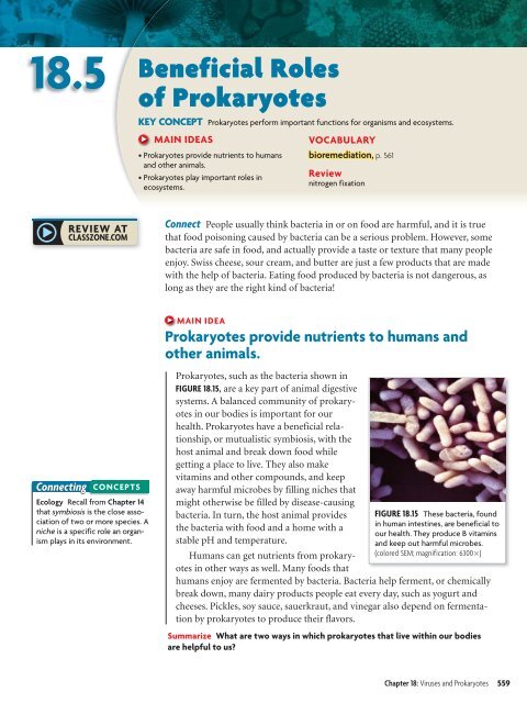 18.1 Studying Viruses and Prokaryotes