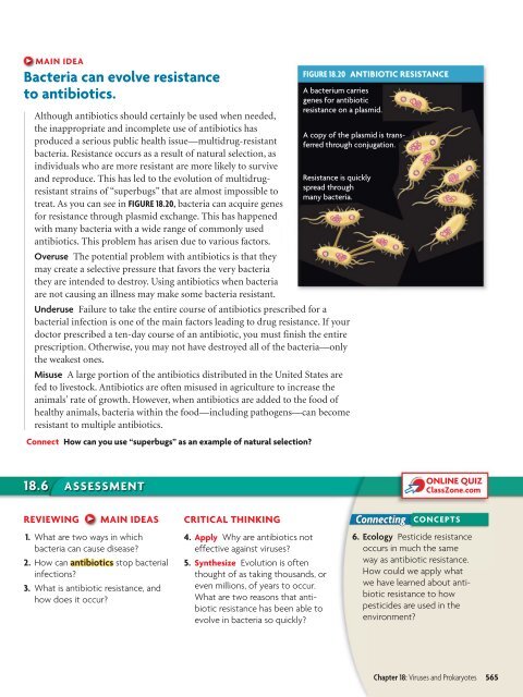 18.1 Studying Viruses and Prokaryotes