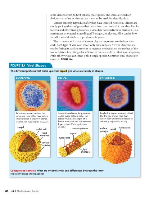 18.1 Studying Viruses and Prokaryotes