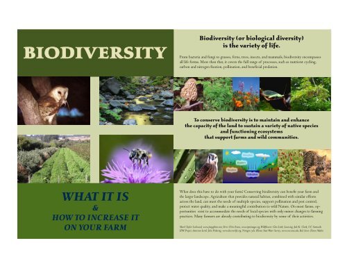 Biodiversity on the farm