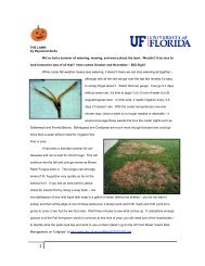 trees and shrubs - Taylor County Extension - University of Florida