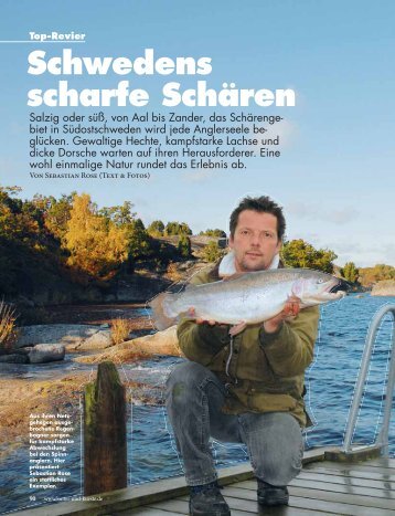 Schwedens scharfe Schären