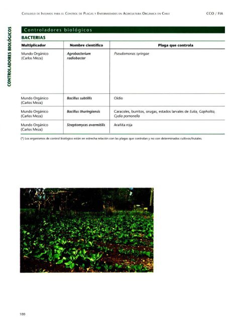 CatÃ¡logo de insumos para el control de plagas y enfermedades en ...