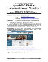 Hybrid-BSC 1085 Lab Human Anatomy and Physiology I