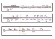 Linea del tempo dalla preistoria ai cristiani