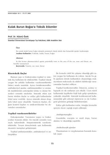 Kulak Burun BoÄaz'a Toksik Etkenler