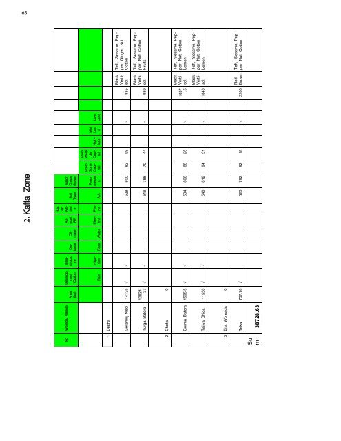 guide 2000 English.pub - SNNPR Investment Expansion Process