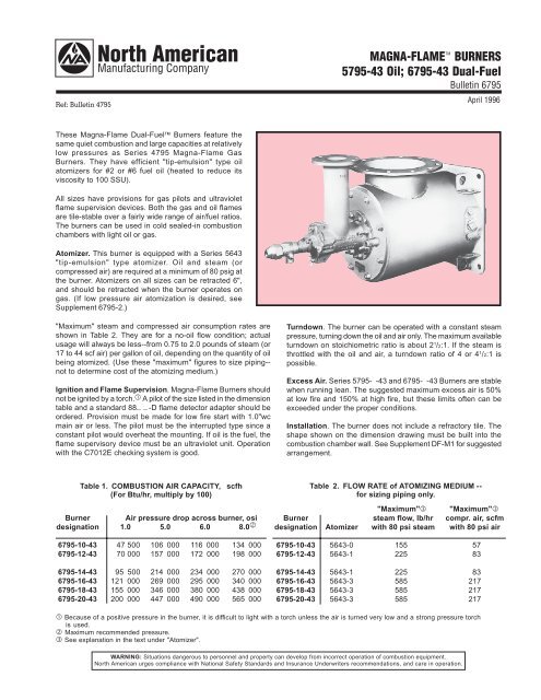 MAGNA FLAME - System Control Engineering