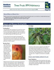 Tree Fruit IPM Advisory - Utah Pests - Utah State University