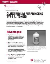 Clostridium Perfringens Type A, Toxoid Product Bulleting