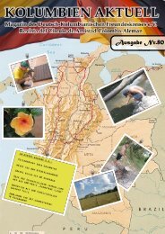Heft 80 - Deutsch-Kolumbianischer Freundeskreis eV